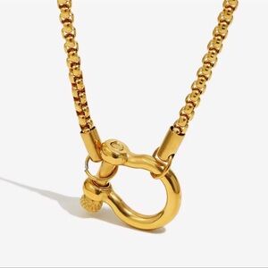 COPY - COPY - Gold Chunky Horse Bit Chain Necklace

Brand New